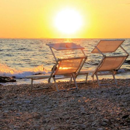 Nikola Luxury Apartments Senia Petrcane Εξωτερικό φωτογραφία