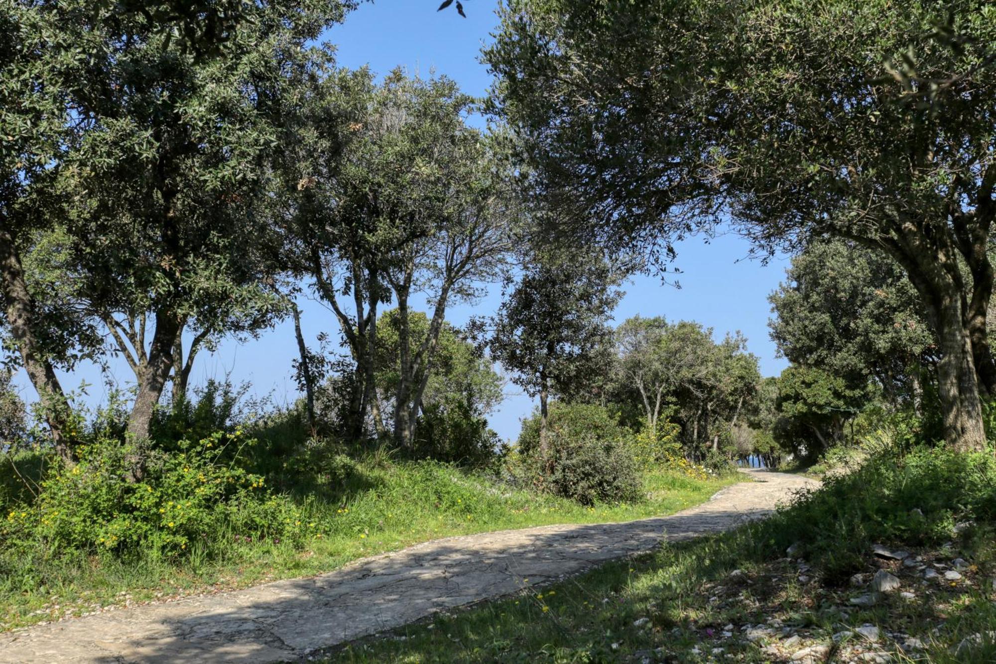 Nikola Luxury Apartments Senia Petrcane Εξωτερικό φωτογραφία