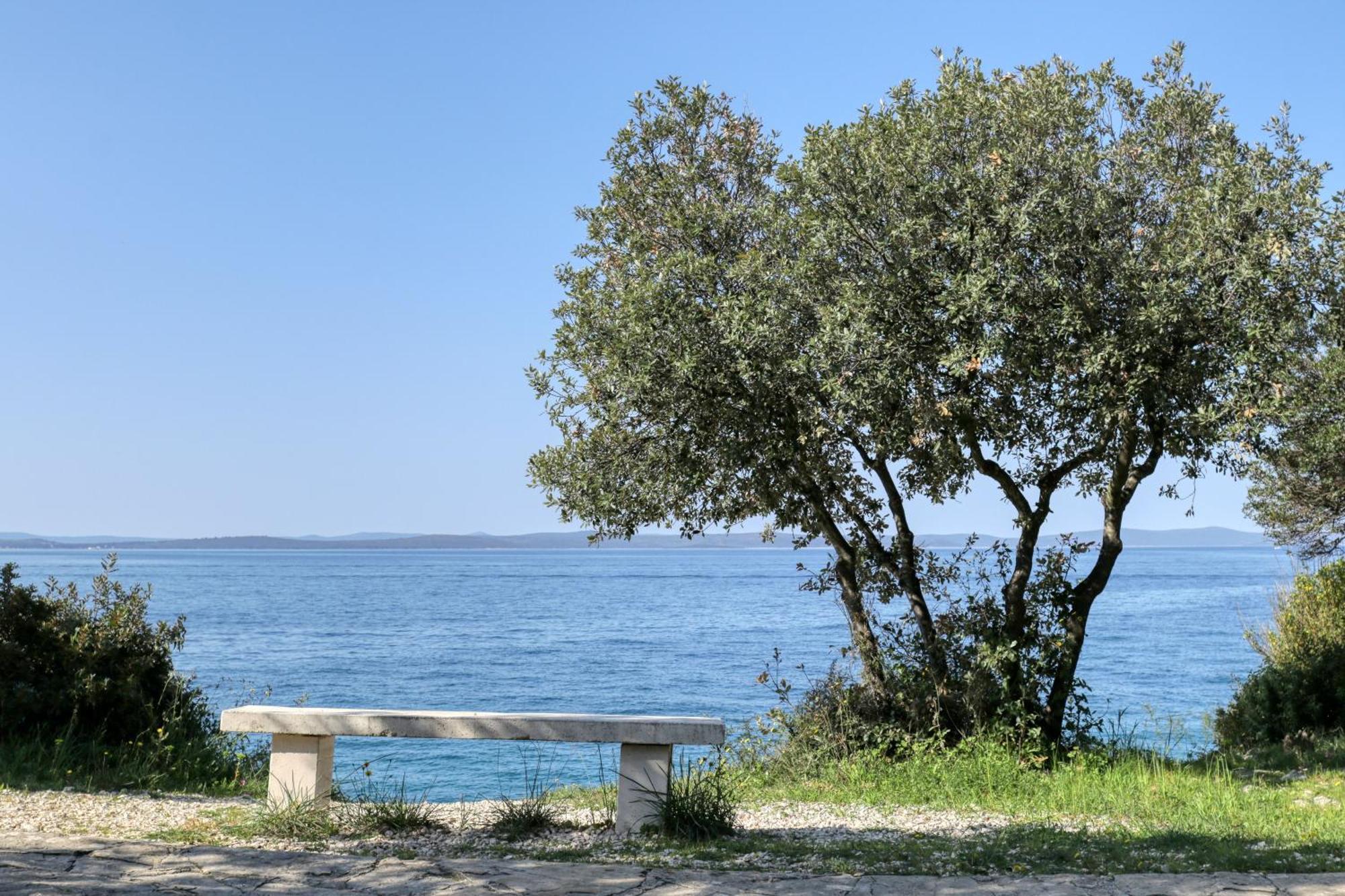 Nikola Luxury Apartments Senia Petrcane Εξωτερικό φωτογραφία